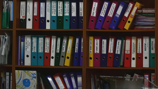 Rows of ring binders organised on office shelves
