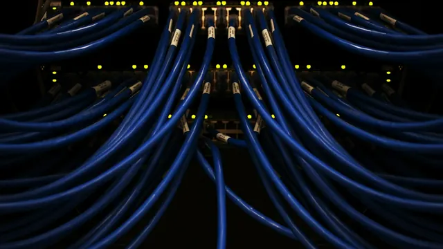 Blue network cables plugged into a switch